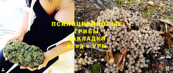 прущая мука Алзамай