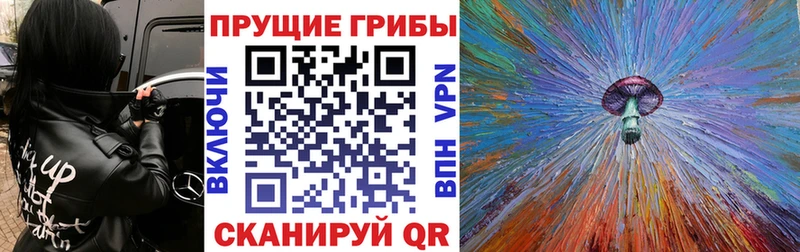 Галлюциногенные грибы Psilocybine cubensis  купить наркотики цена  Кингисепп 